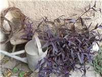 abcf648e-2016-10-09 09.35.21.jpg